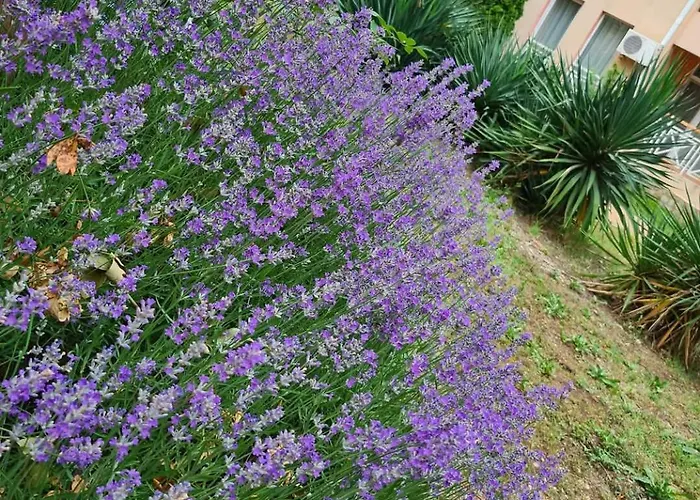 Апартаменти Double Cherry *